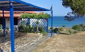 Margarita House